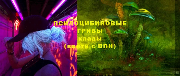 гидропоника Липки