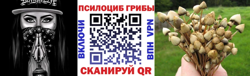 Галлюциногенные грибы мухоморы  mega ONION  Аксай 